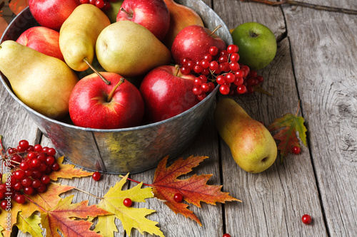 Autumn harvest and thanksgiving card background