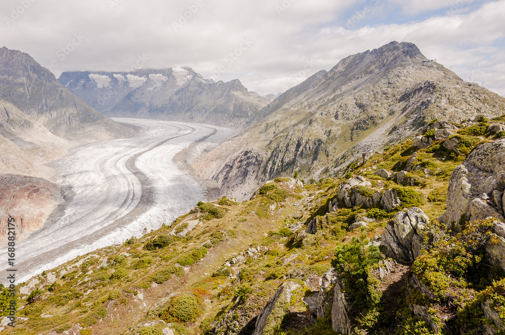 Riederalp, Bergdorf, Aletschgletscher, Gletscher, Aletsch, Moosfluh, Bettmerhorn, Bergstation, Wanderweg, Höhenweg, Wallis, Sommer, Schweiz Riederalp, Bergdorf, Aletschgletscher, Gletscher, Aletsch, Moosfluh, Bettmerhorn, Bergstation, Wanderweg, Höhenweg, Wallis, Sommer, Schweiz