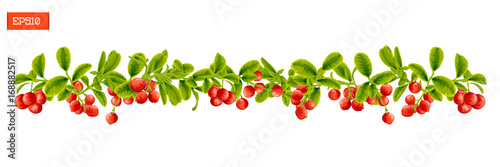 Border of leaves and berry of lingonberry plant isolated on white
