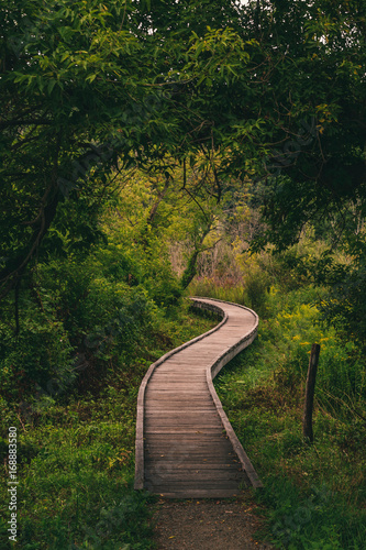 appalachian trail