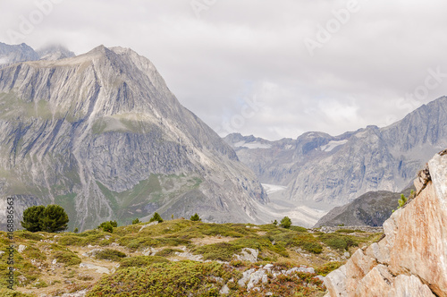 Riederalp, Moosfluh, Alpen, Aletsch, Beichgletscher, Fusshörner, Aletschgletscher, Wanderweg, Höhenweg, Hohfluh, Wallis, Sommer, Schweiz photo