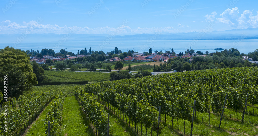 Immenstaad - Lake Constance, Baden-Wuerttemberg, Germany, Europe