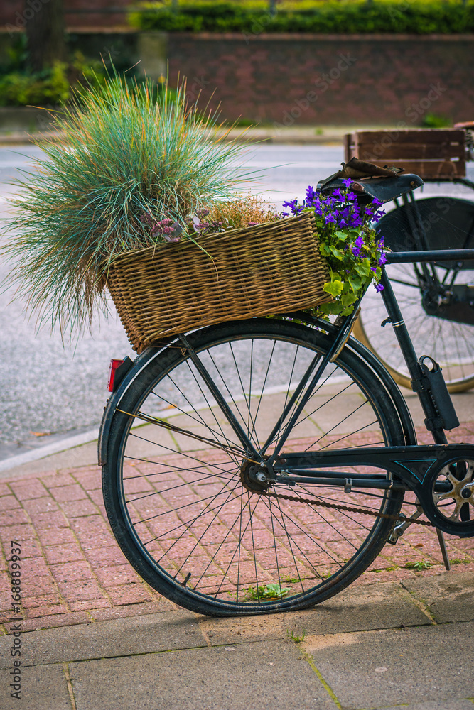 Vintage bycicle with basket and form green plants parked on the street