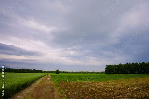 Rural agricultural landscape with rainbow over the forest