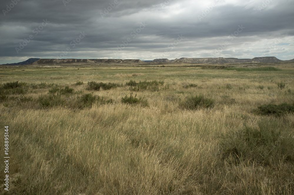 estepa y desierto