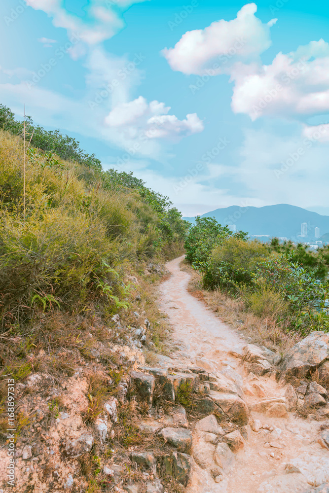View of mountain trail for hiking and summer of hong kong