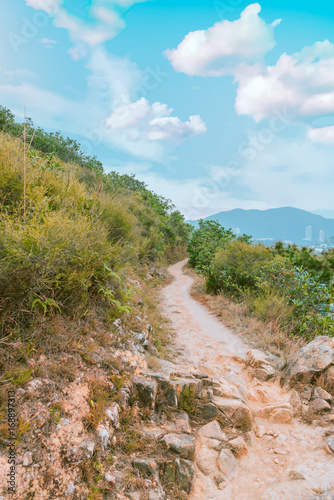View of mountain trail for hiking and summer of hong kong
