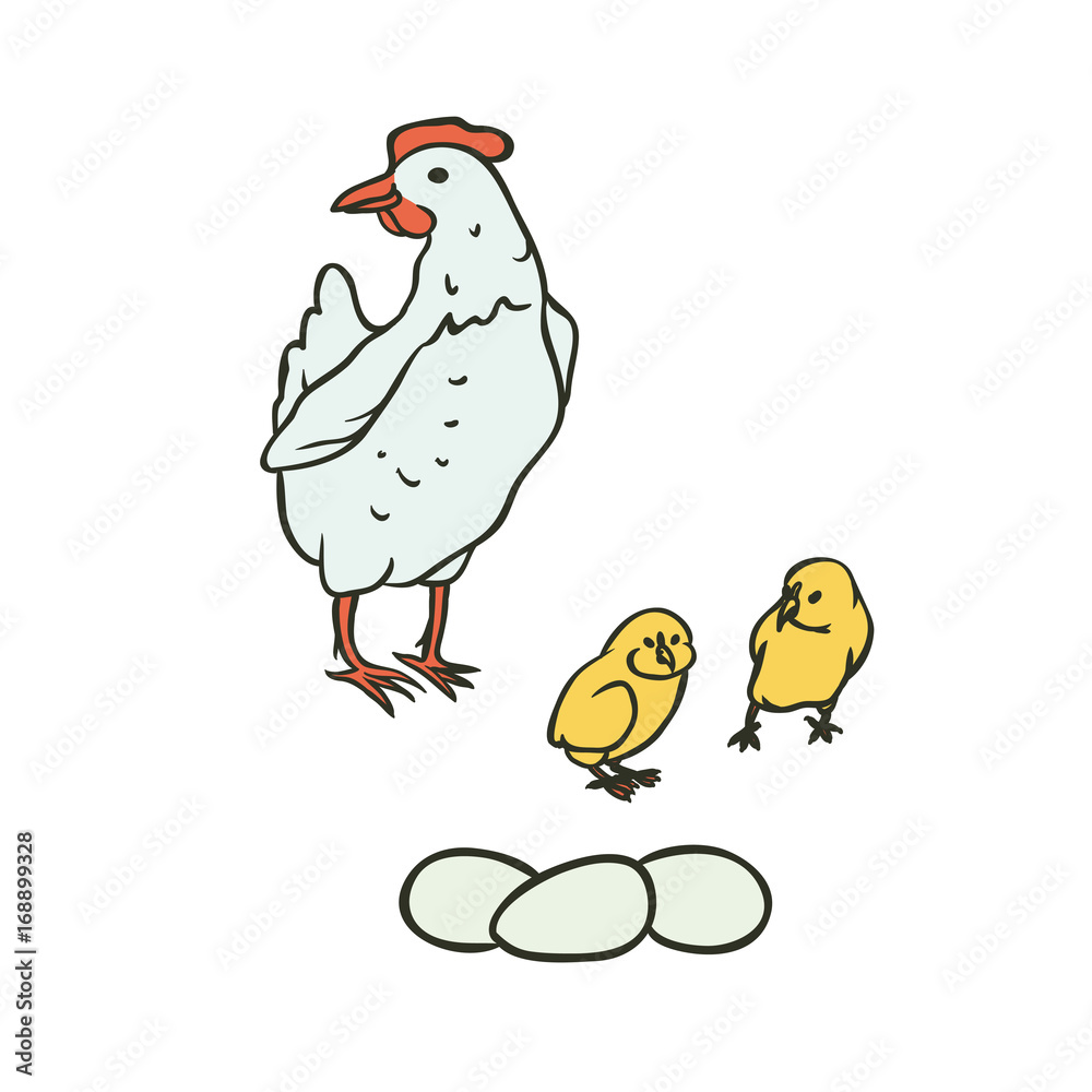 Vector sketch set coloured isolated illustration of farm birds. Breeding laying hens and chicks, eggs.