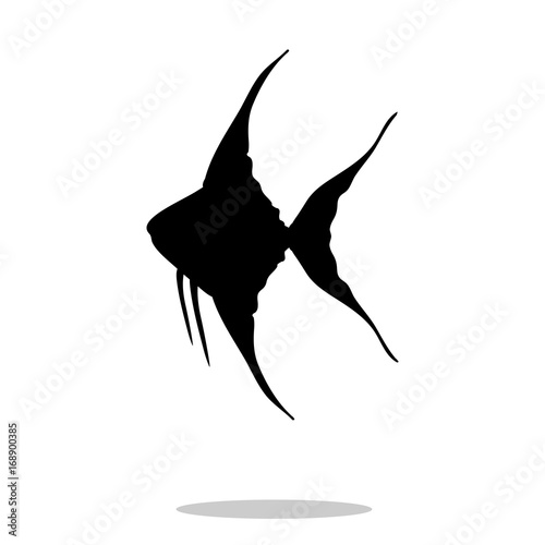 Scalare fish black silhouette aquatic animal