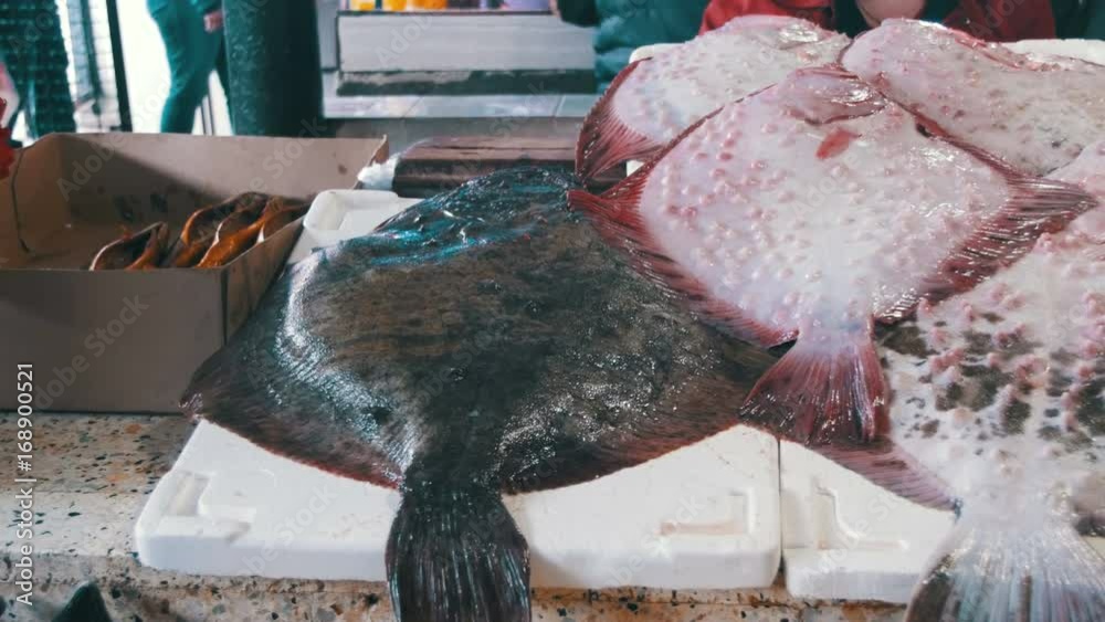 Fresh sea fish Kambala on the counter of the fish store. Fish sold on