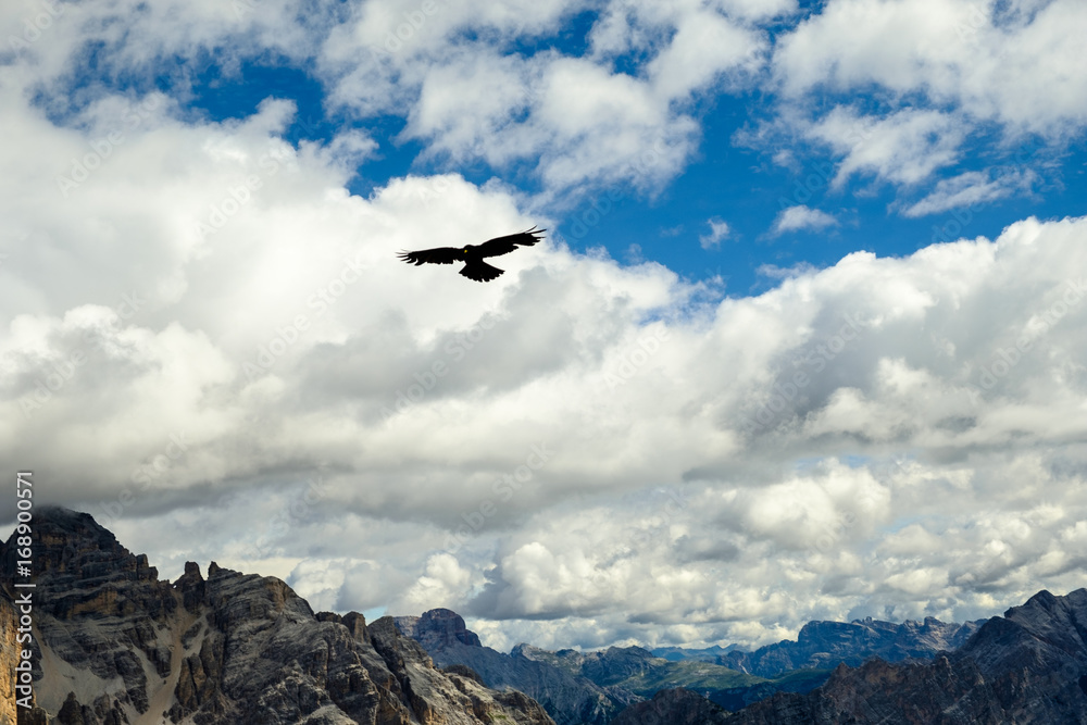 Vogel zwischen den Bergen der Dolomiten, Italien Vogel zwischen den Bergen der Dolomiten, Italien