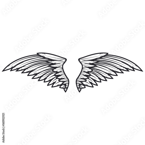 Wings isolated on white background. Design elements for logo, label, emblem, sign. Vector illustration