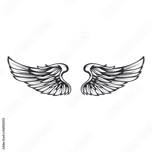 Wings isolated on white background. Design elements for logo  label  emblem  sign. Vector illustration