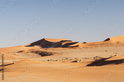 Dunes in the Namib Desert / Dunes in the Namib Desert to the horizon, Namibia, Africa.