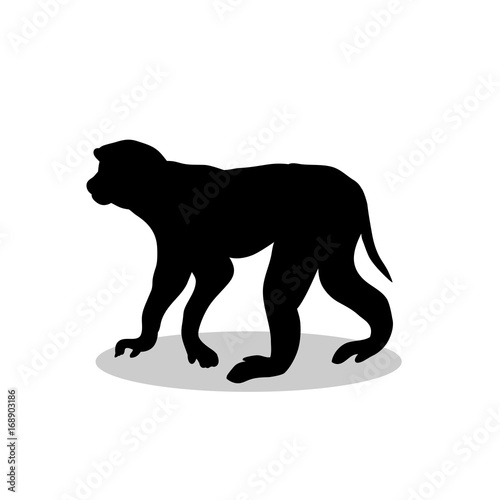 Macaque monkey primate black silhouette animal © KozyrevaElena