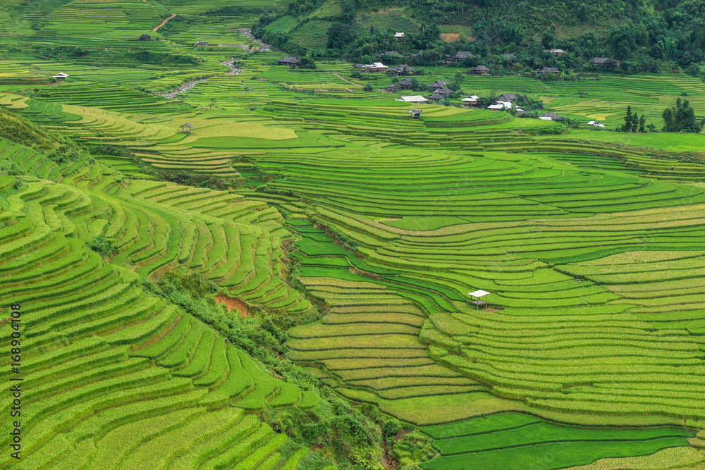 Rice terrace at Tule, Mu Cang Chai is a rural district of Yen Bai Province, in the Northwest region of Vietnam have been recognized as national landscapes by the Ministry of Culture and Tourism.