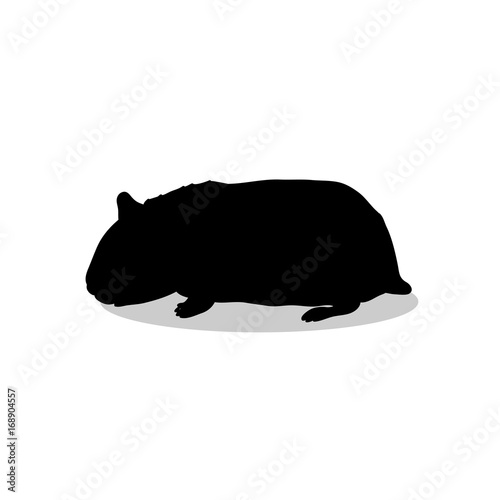 Hamster rodent black silhouette animal