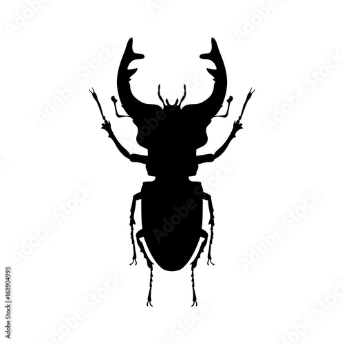 Stag beetle insect black silhouette animal