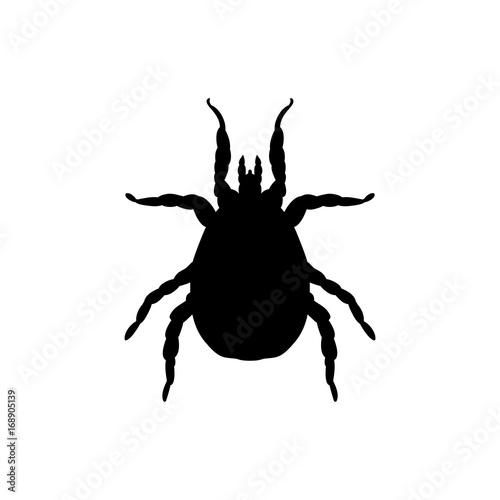 Mite parasite black silhouette animal