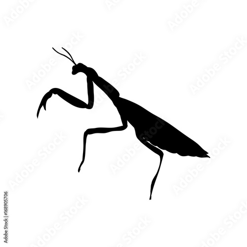Praying mantis insect black silhouette animal