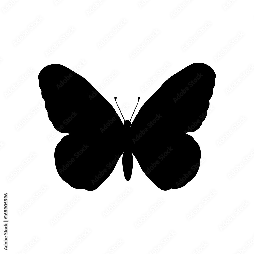 Butterfly insect black silhouette animal Butterfly insect black silhouette animal