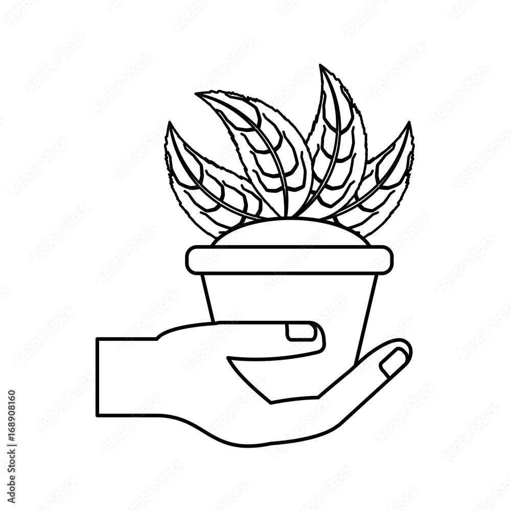 Plant in pot icon vector illustration graphic design