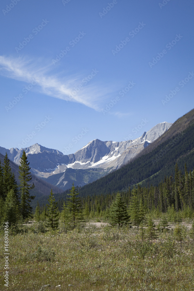Numa Mountain with snow fields viewed from Paint Pots trail in Kootenay National Park; Alberta; Canada