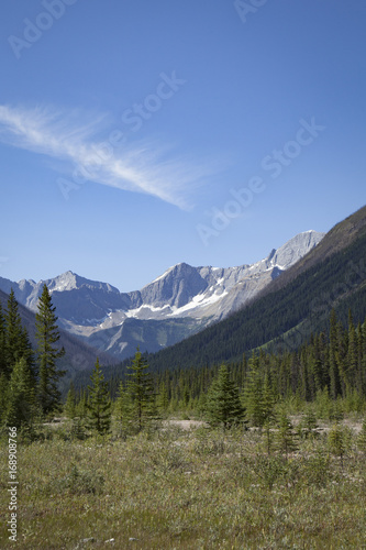 Numa Mountain with snow fields viewed from Paint Pots trail in Kootenay National Park  Alberta  Canada © Anne Lindgren