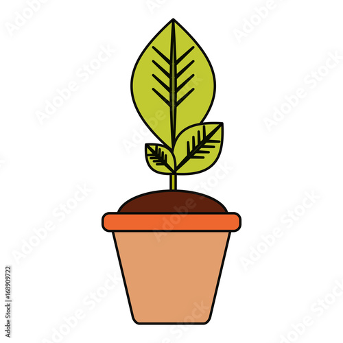 Plant in pot icon vector illustration graphic design