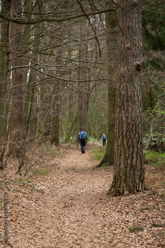 Wanderer am Müllerthaltrail