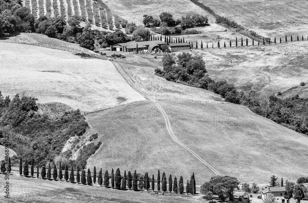 Black and white aerial view of the Tuscan countryside surrounding Montepulciano, Siena, Italy, on a sunny summer day