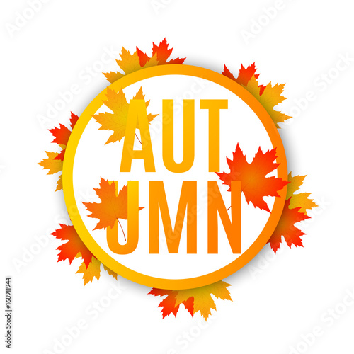 Autumn sale. Autumn sale banner with autumn maple leaves. Vector illustration