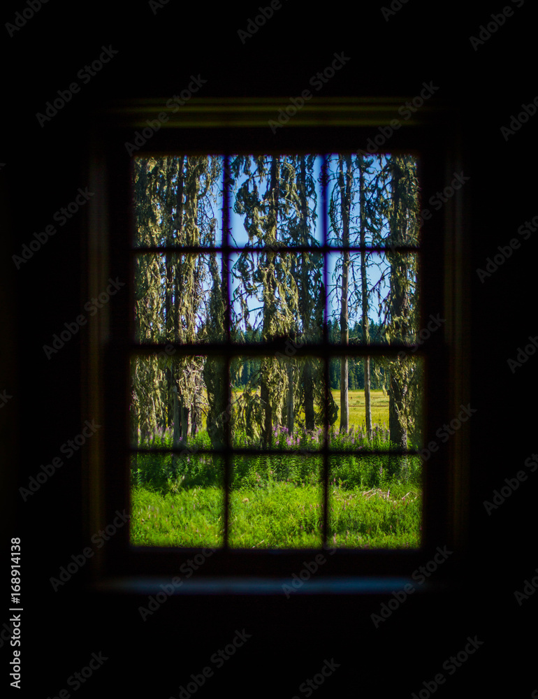 Window into Nature Window into Nature