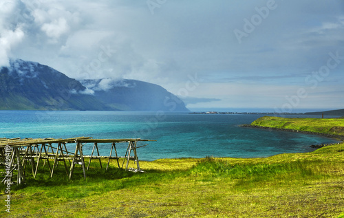 beautiful Icelandic landscape with field in the foreground and the mountains and the fjords and the ocean in the background. Old pier on the shore of the bay