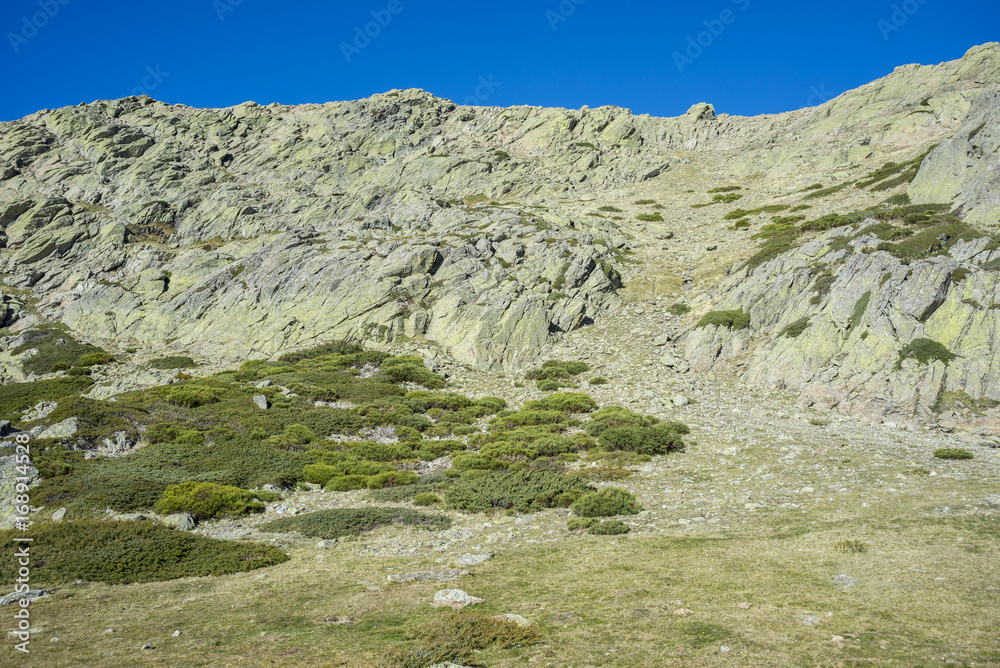 Padded brushwood (Cytisus oromediterraneus and Juniperus communis) next to the Pico del Nevero (Snowfield Peak; 2.209 metres), in Guadarrama Mountains National Park, Spain