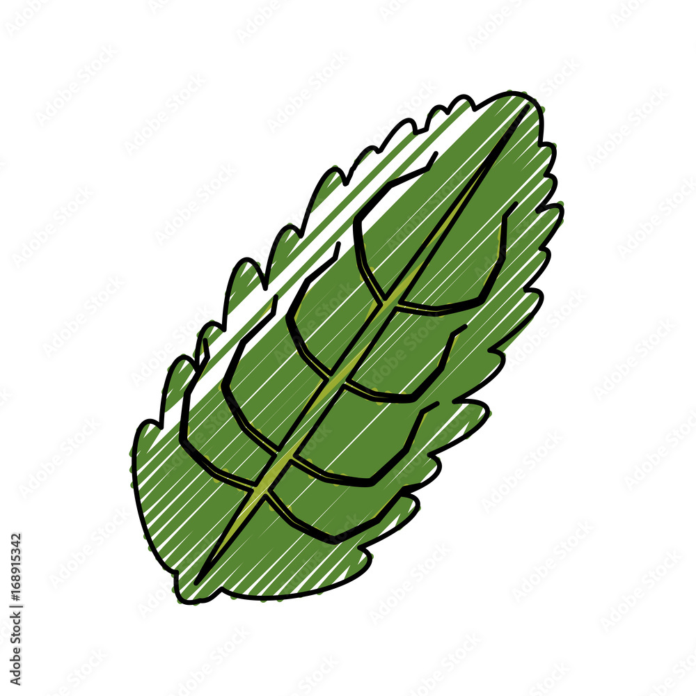 Naklejka premium Leaf eco symbol icon vector illustration graphic design