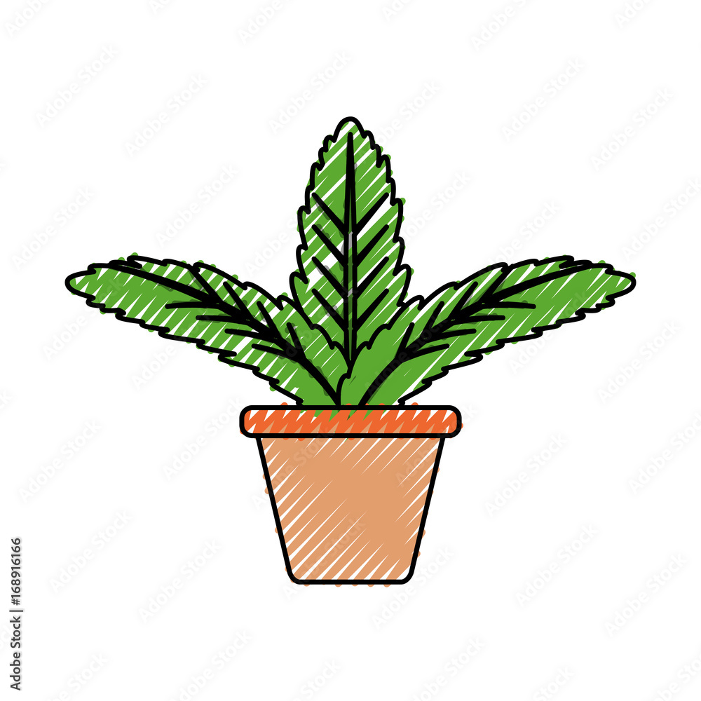 Plant in pot icon vector illustration graphic design Plant in pot icon vector illustration graphic design