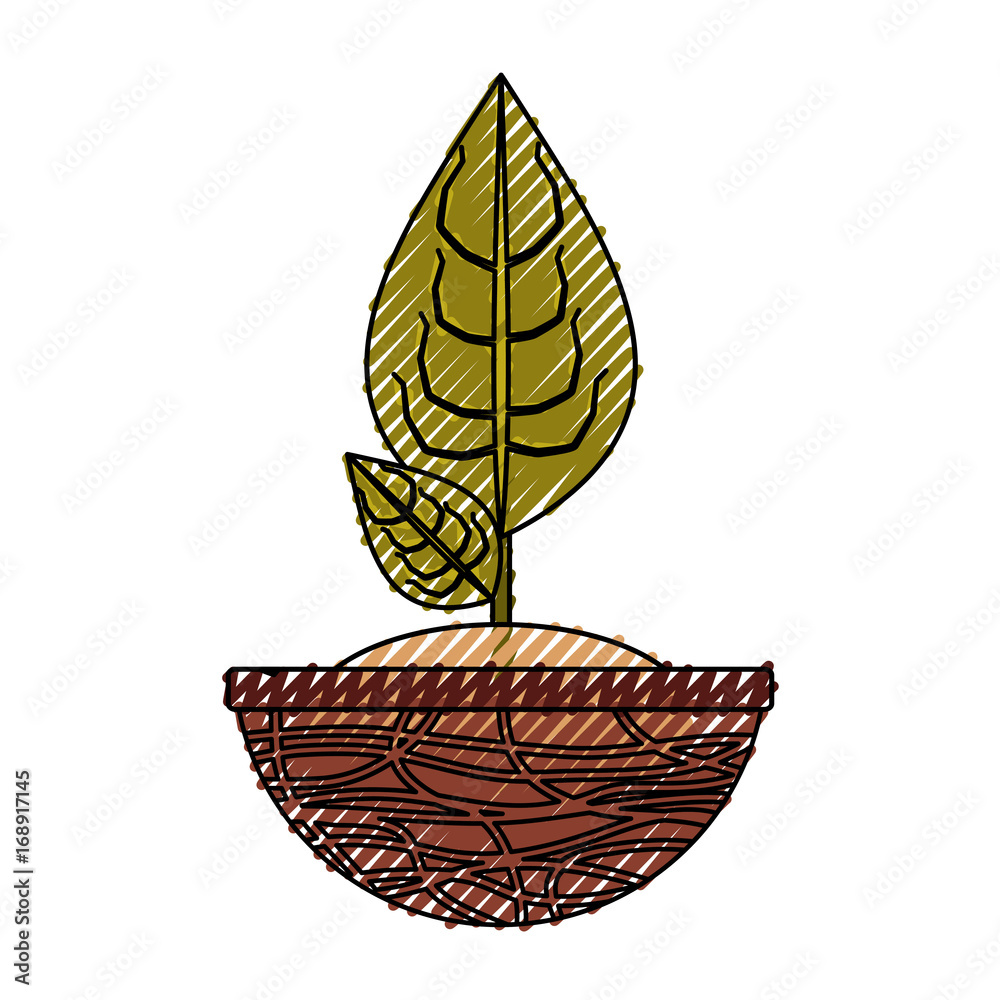 Obraz premium Plant in pot icon vector illustration graphic design