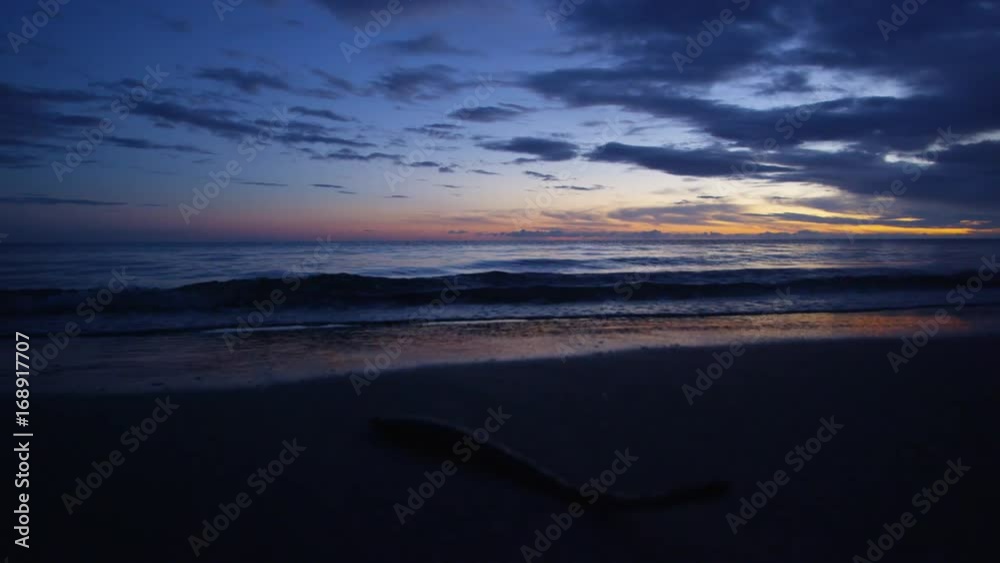 A close up shot of a branch on a beach. A close up shot of a branch on a beach.