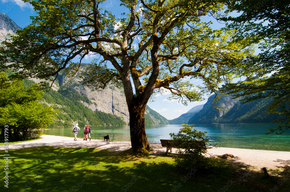 Touristen mit einem Hund wandern am Ufer St. Bartholomä Touristen mit einem Hund wandern am Ufer St. Bartholomä