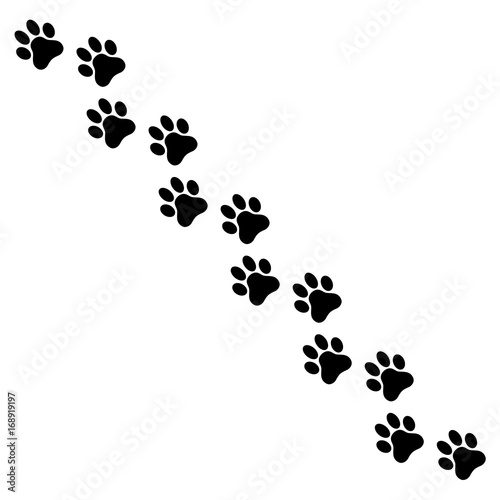 Dog paw print. Paw icon. Stock vector.