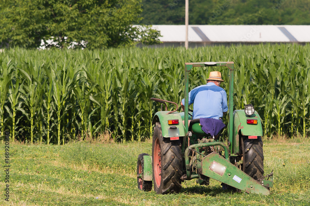 Obraz premium Farmer on tractor cutting the grass for hay.