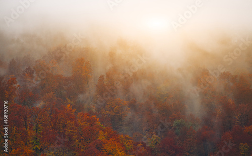 Silhouettes of autumnal mountains with trees in fog
