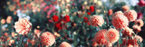 Wunderschöne Blumen im Sommer