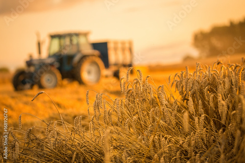 tractor harvest photo