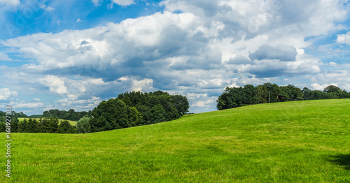 Fototapeta Naklejka Na Ścianę i Meble -  hilly meadows - landscape