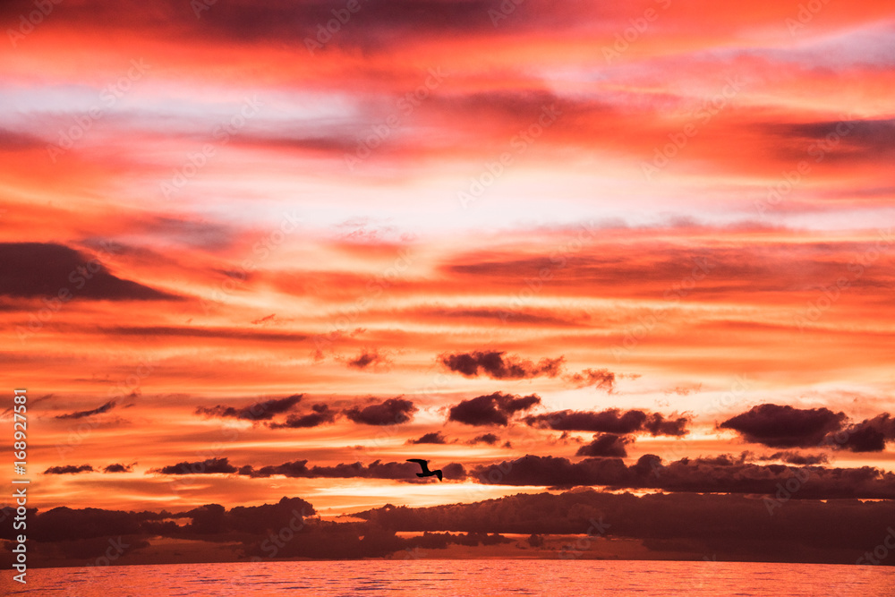 Fototapeta premium Sunset Over Beach