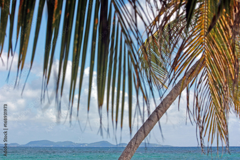 Naklejka premium Mer, antilles, caraibes, tropiques...