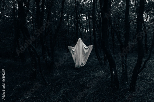 Halloween ghost in a dark forest photo