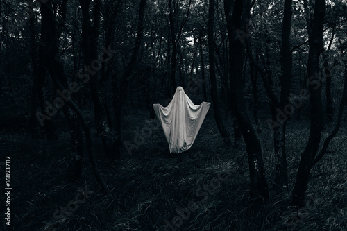Halloween ghost in a dark forest